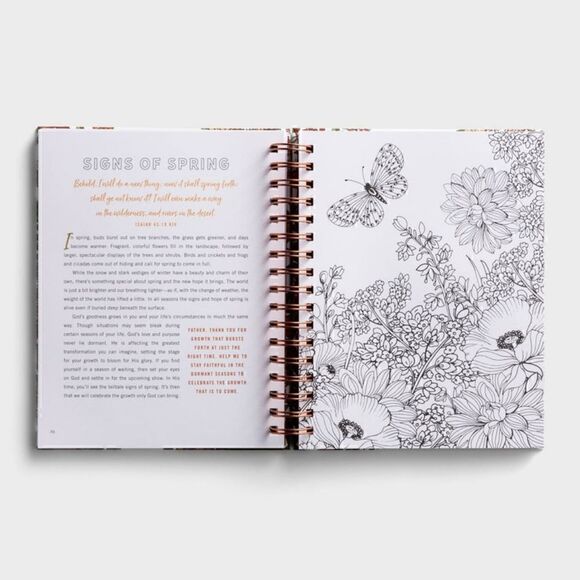 DEVOTIONAL ICOLORING BOOK "SET Your MIND on THINGS ABOVE" BEAUTIFUL ART Gift! - Picture 6 of 10